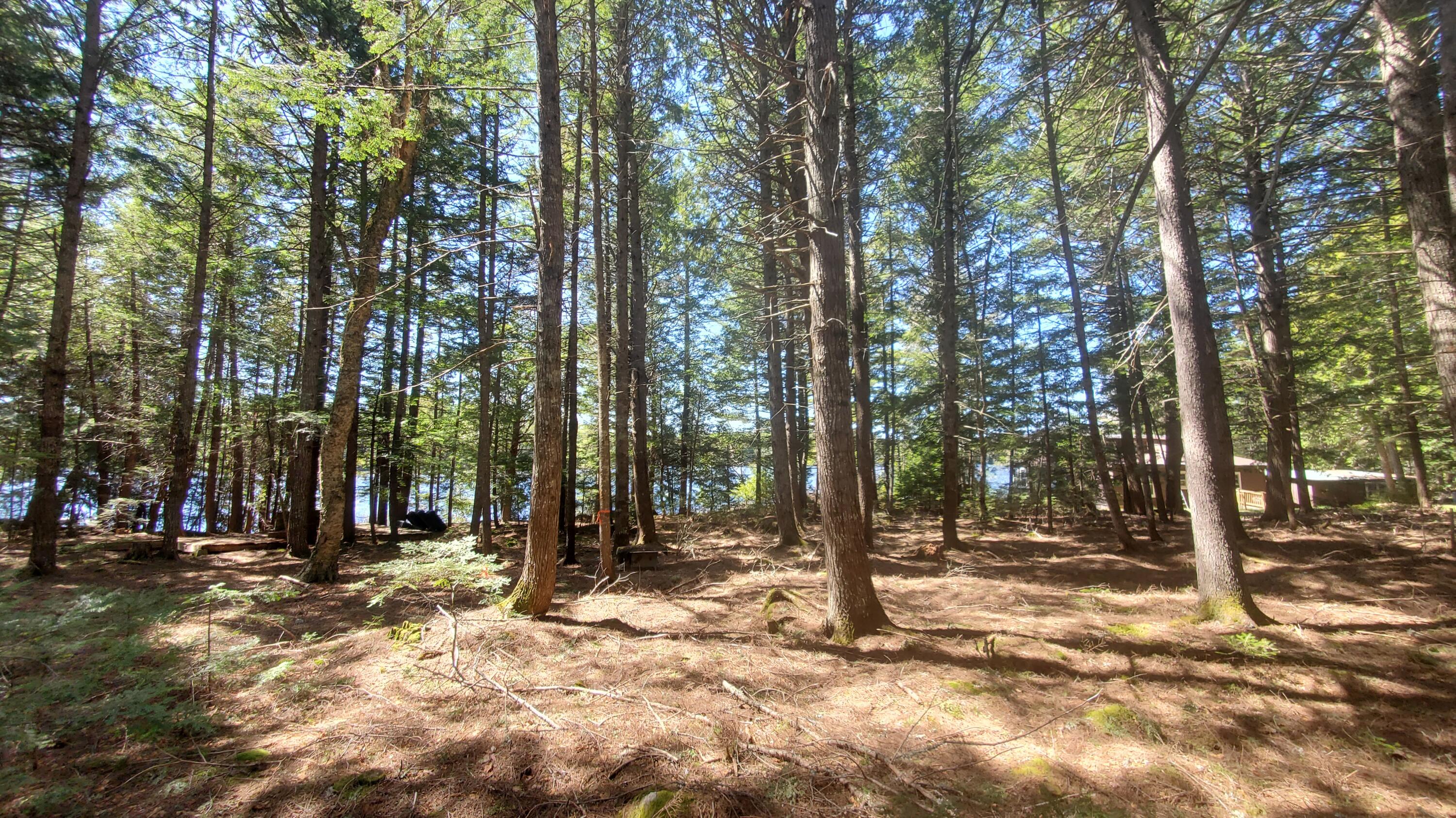 307 Lakeville Shores Road Lakeville ME 04487