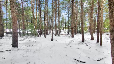 307 Lakeville Shores Road Lakeville ME 04487