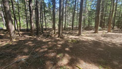 307 Lakeville Shores Road Lakeville ME 04487