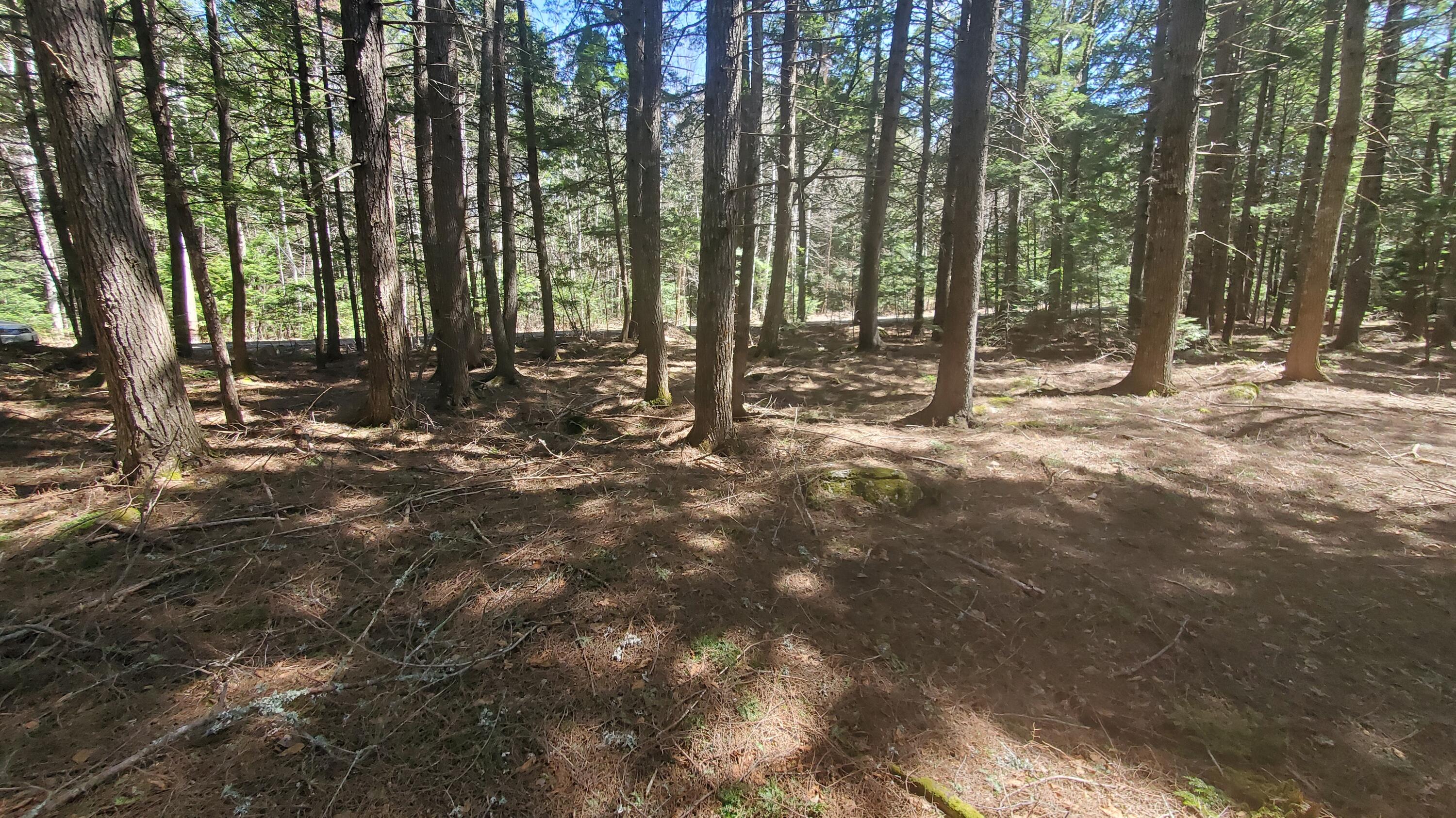 307 Lakeville Shores Road Lakeville ME 04487