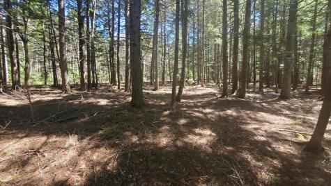 307 Lakeville Shores Road Lakeville ME 04487