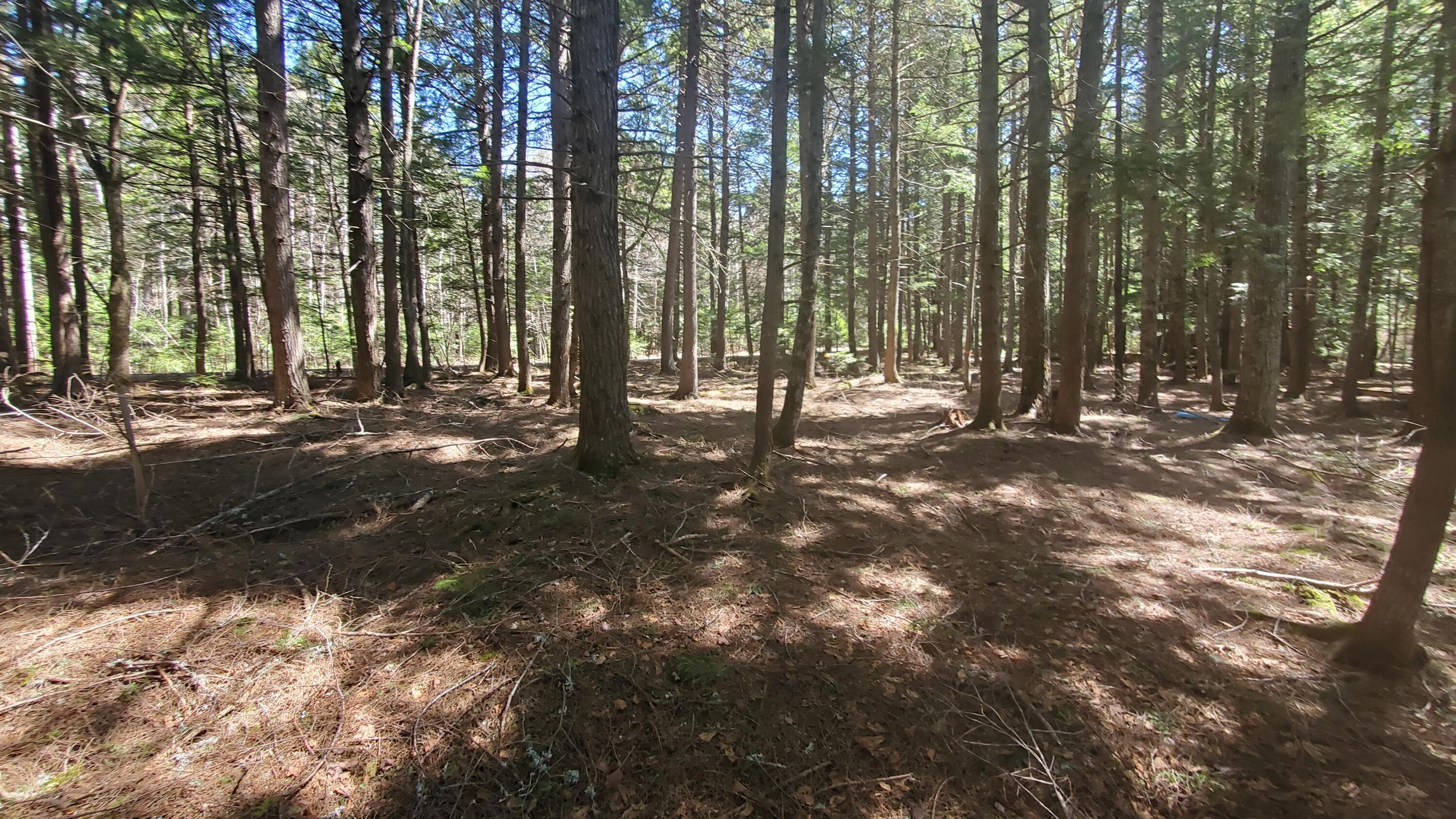 307 Lakeville Shores Road Lakeville ME 04487
