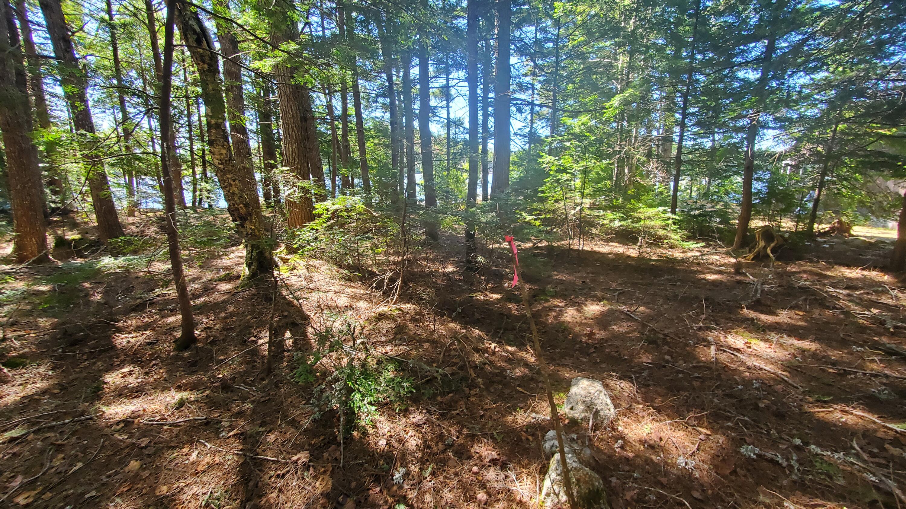 307 Lakeville Shores Road Lakeville ME 04487