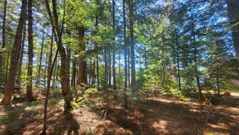 307 Lakeville Shores Road Lakeville ME 04487