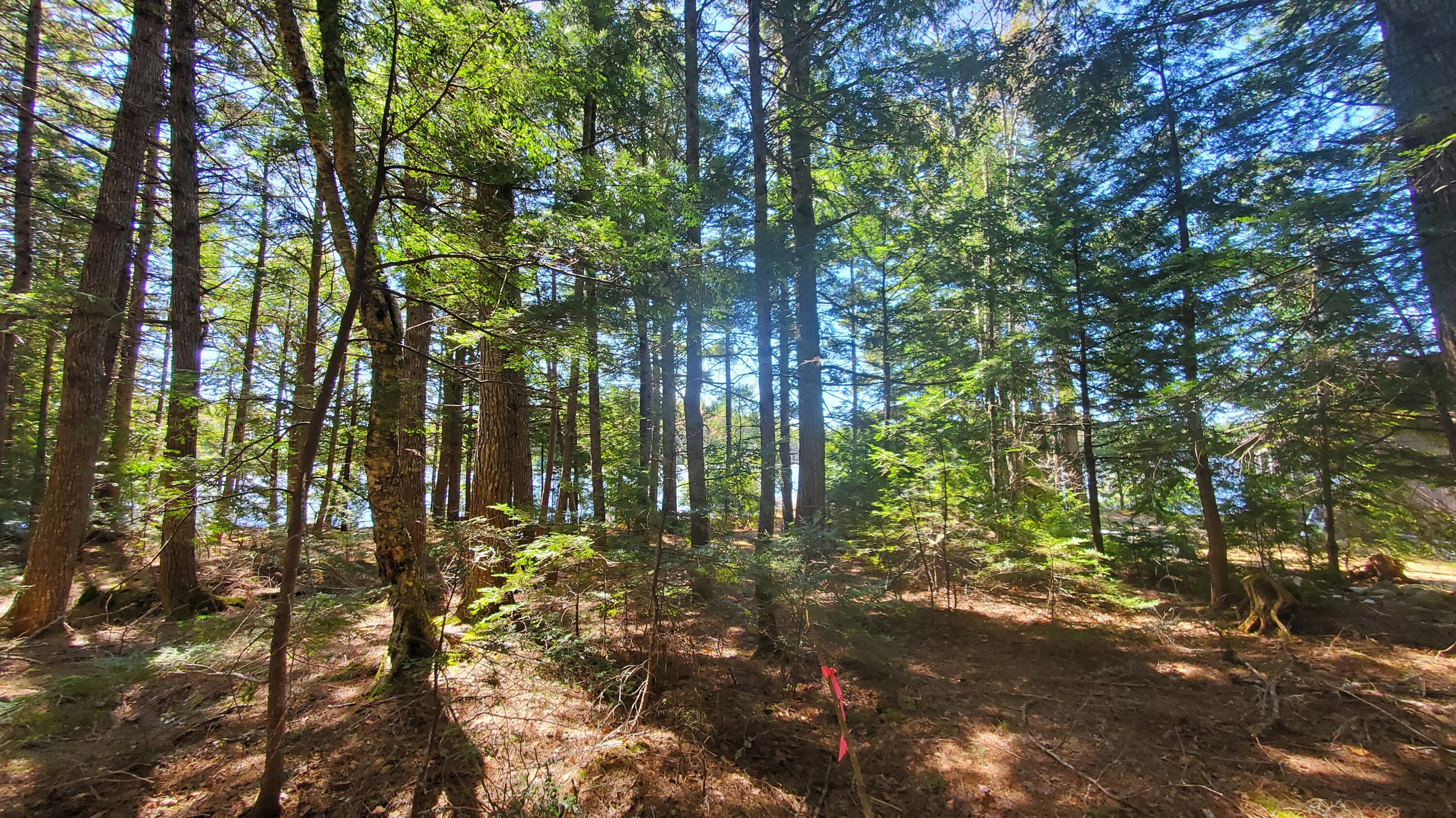 307 Lakeville Shores Road Lakeville ME 04487
