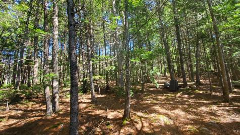307 Lakeville Shores Road Lakeville ME 04487