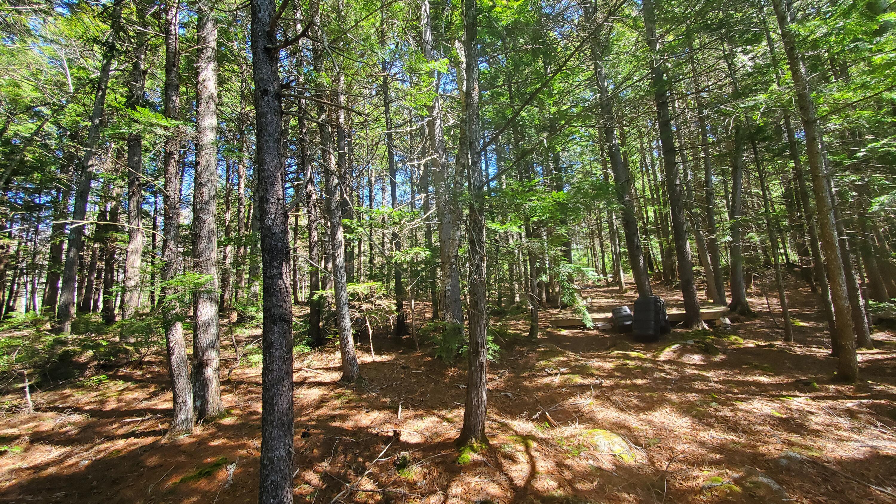 307 Lakeville Shores Road Lakeville ME 04487