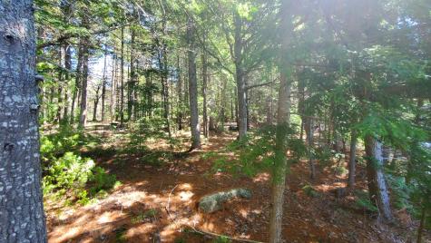 307 Lakeville Shores Road Lakeville ME 04487