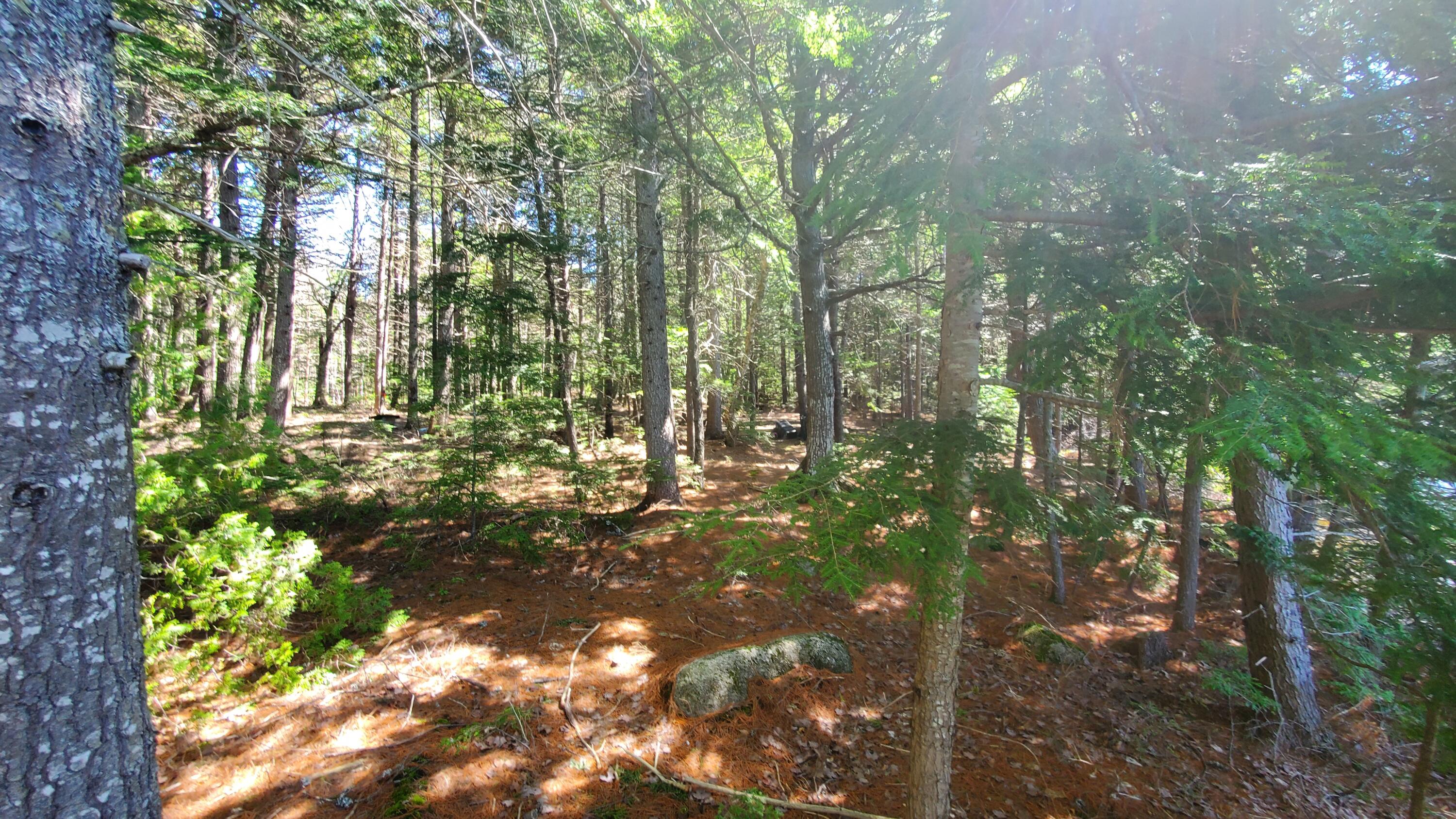 307 Lakeville Shores Road Lakeville ME 04487