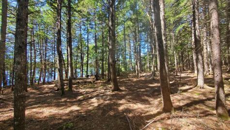 307 Lakeville Shores Road Lakeville ME 04487