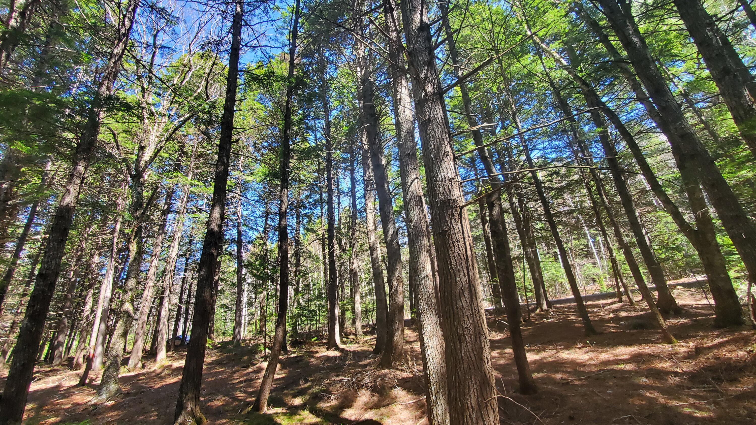307 Lakeville Shores Road Lakeville ME 04487