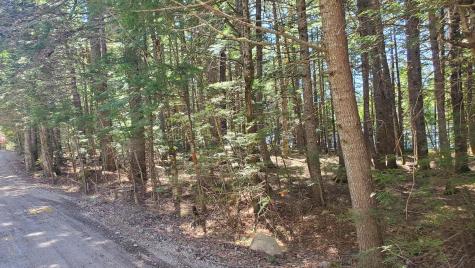 307 Lakeville Shores Road Lakeville ME 04487