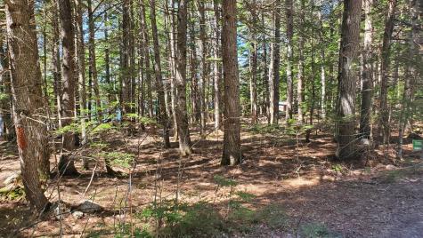 307 Lakeville Shores Road Lakeville ME 04487
