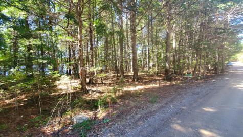 307 Lakeville Shores Road Lakeville ME 04487