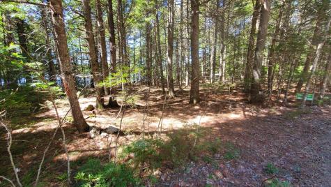 307 Lakeville Shores Road Lakeville ME 04487