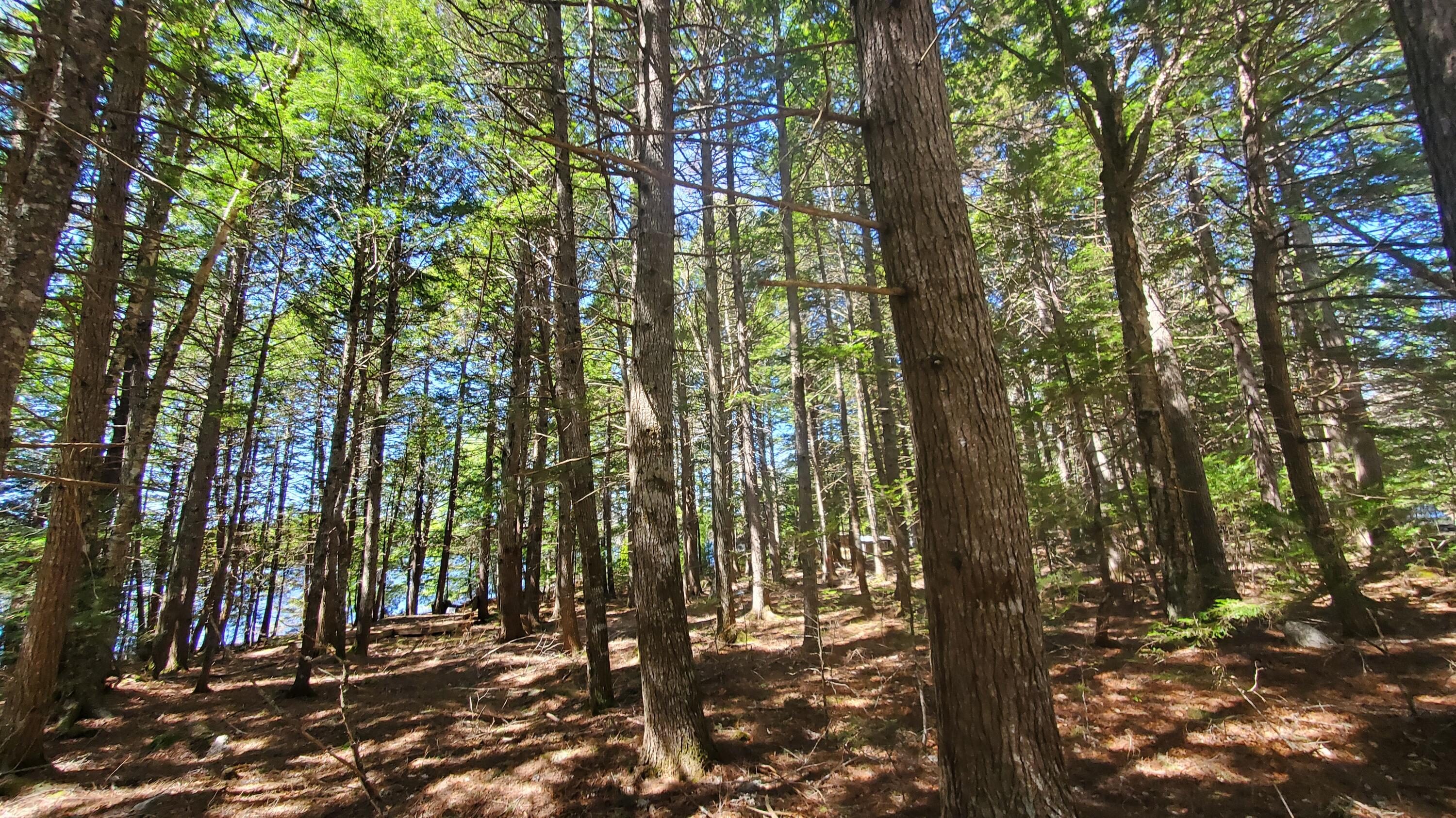 307 Lakeville Shores Road Lakeville ME 04487