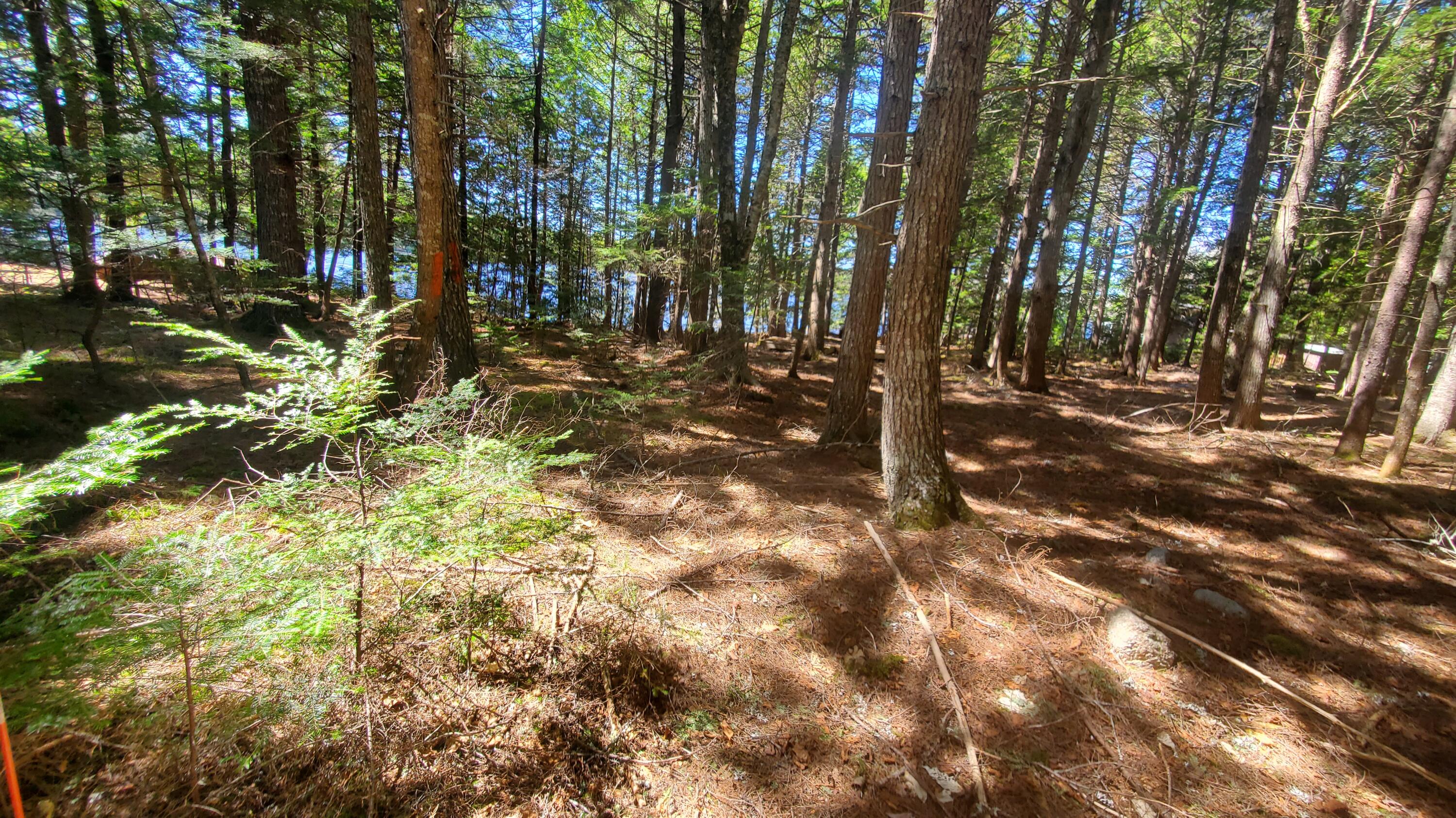 307 Lakeville Shores Road Lakeville ME 04487