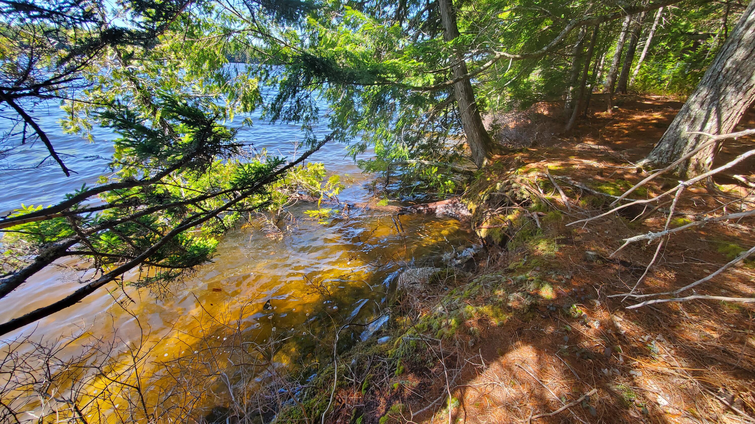 307 Lakeville Shores Road Lakeville ME 04487