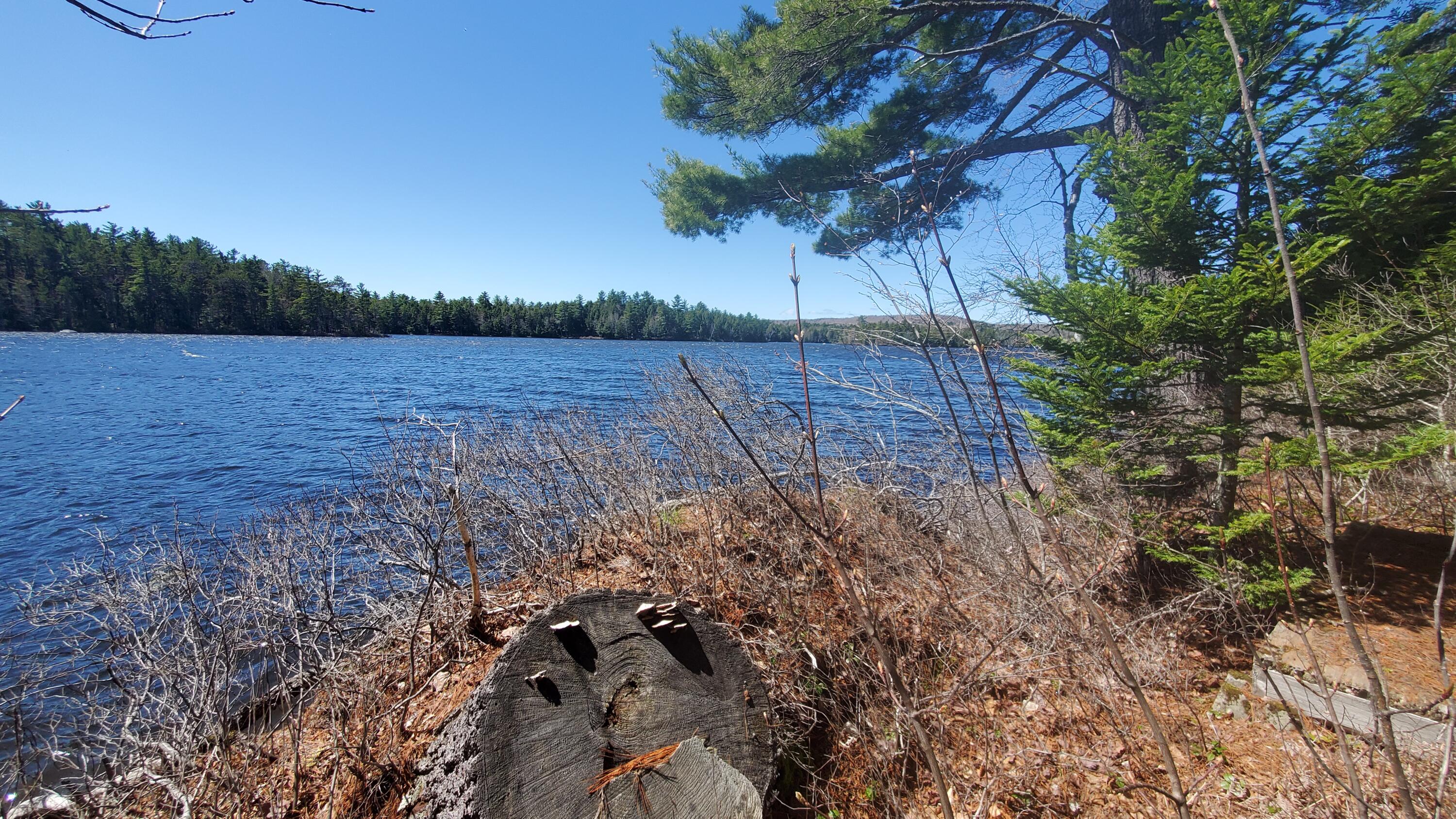 307 Lakeville Shores Road Lakeville ME 04487