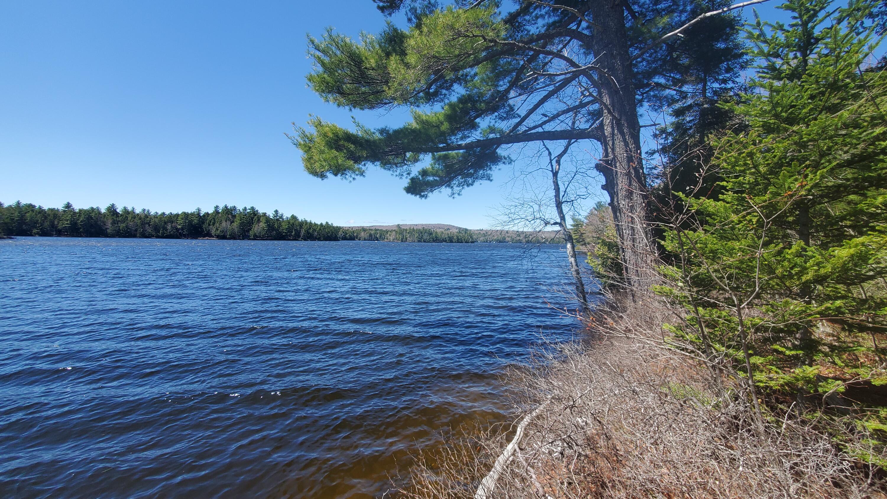 307 Lakeville Shores Road Lakeville ME 04487