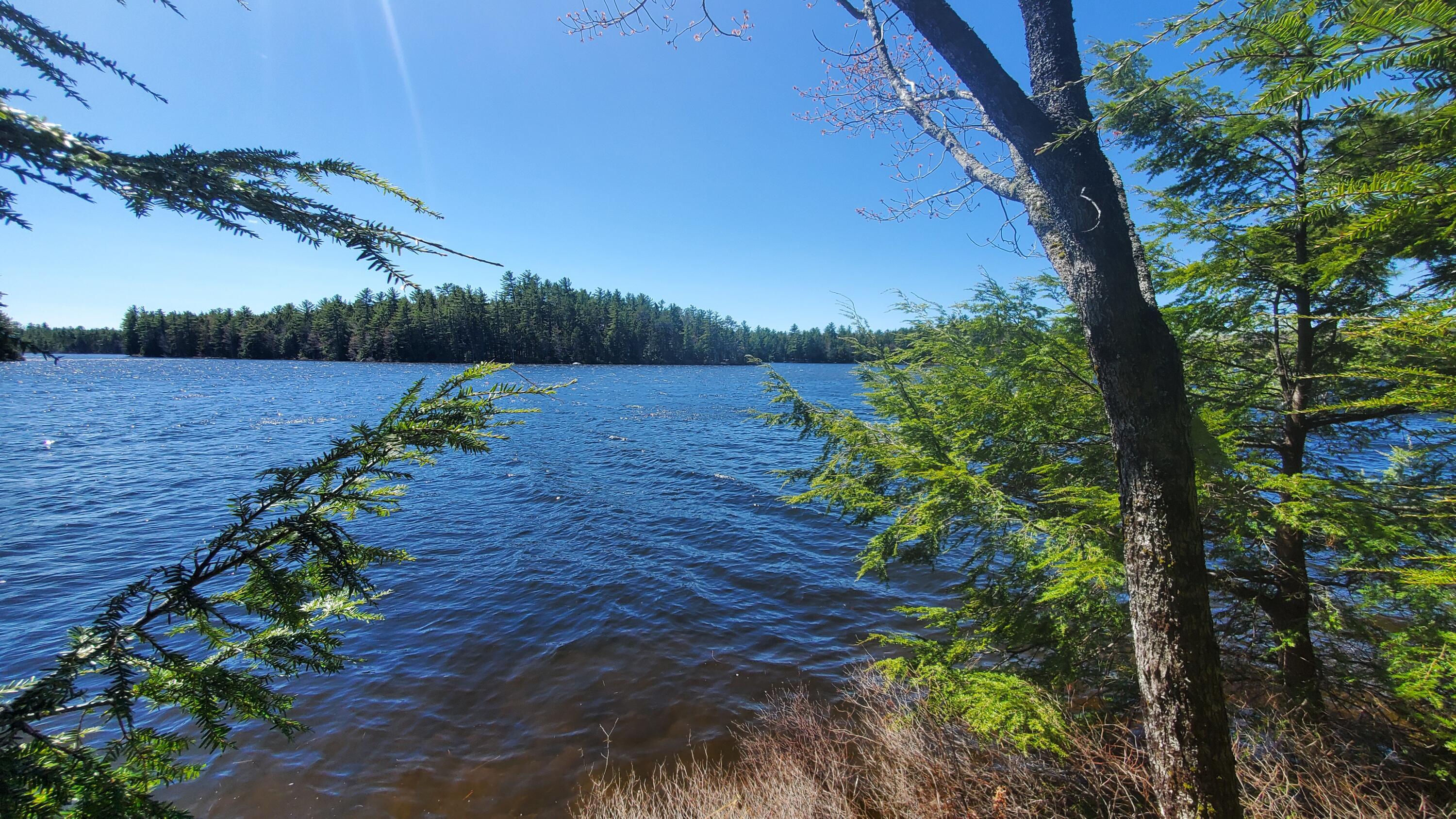 307 Lakeville Shores Road Lakeville ME 04487