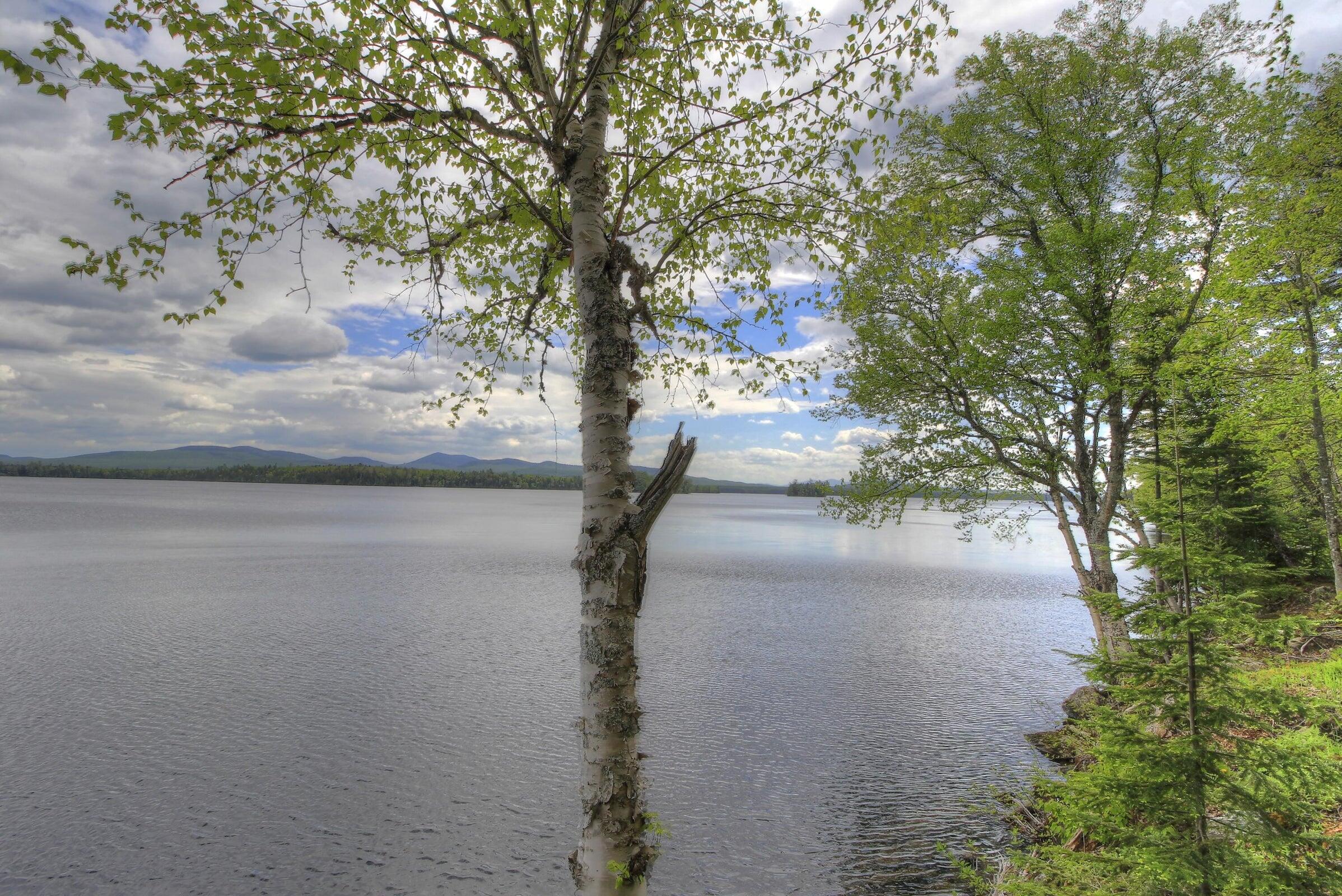 Lot 19 Herr Trail Adamstown Twp ME 04970