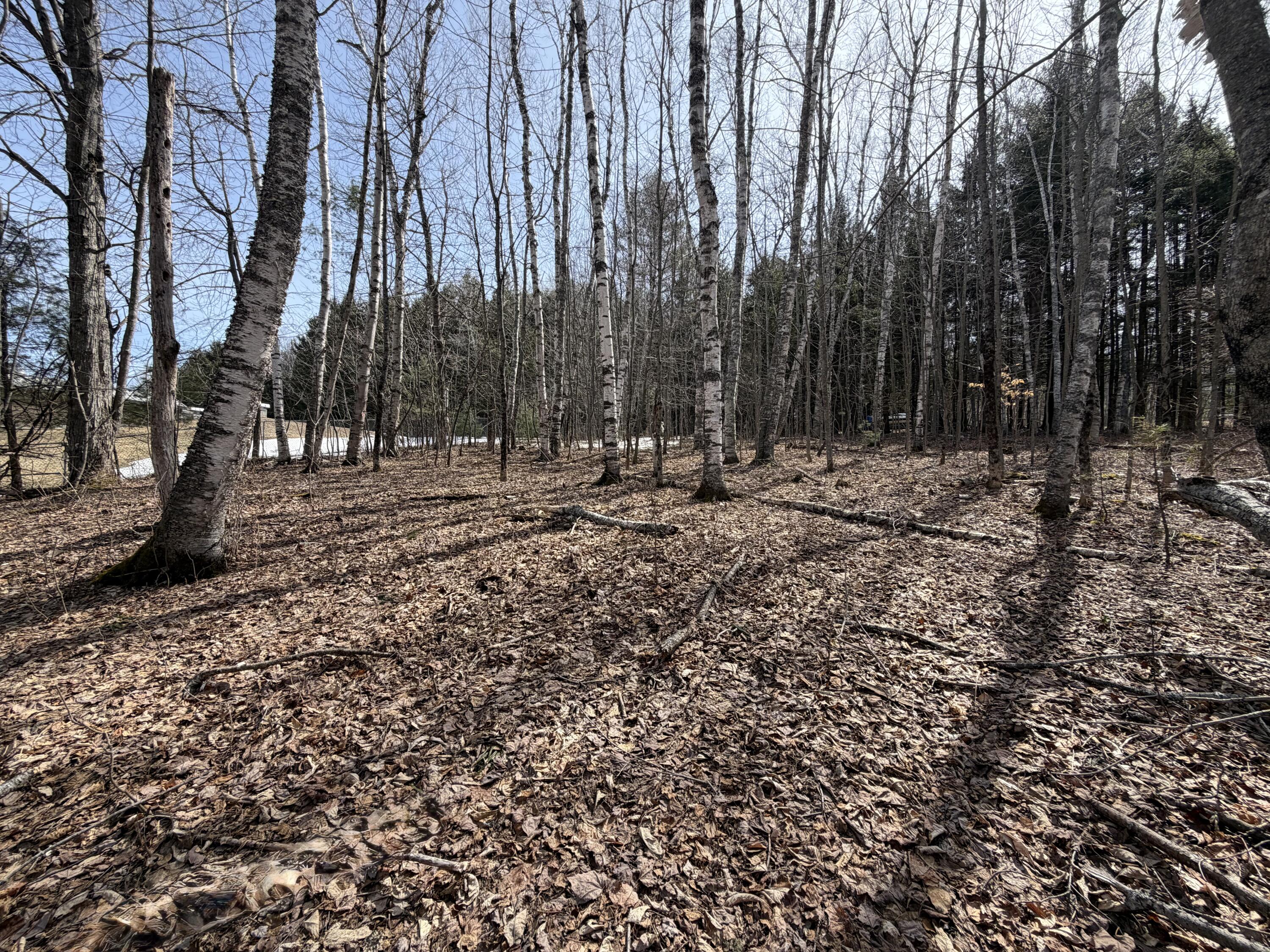 Lot I Agape Lane Dexter ME 04930