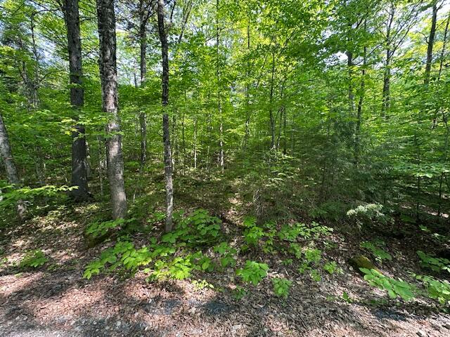 Lot 1 Scammon Road Greenville ME 04441