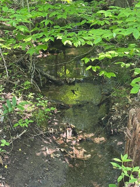 Lot 1 Scammon Road Greenville ME 04441