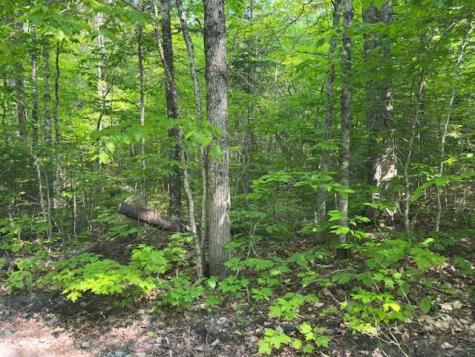 Lot 1 Scammon Road Greenville ME 04441