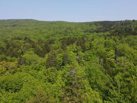 Lot 1 Scammon Road Greenville ME 04441