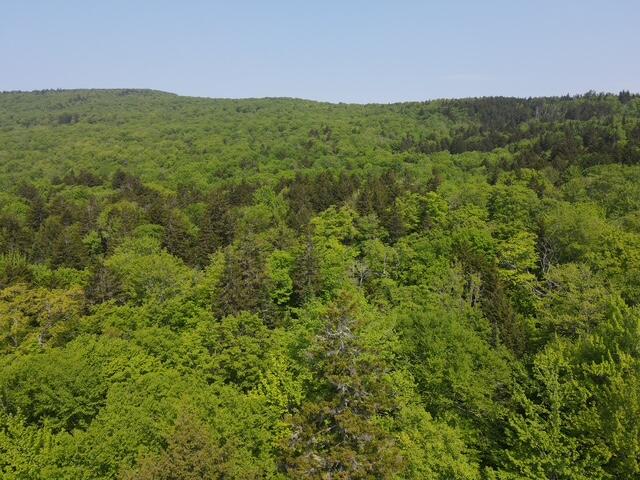 Lot 1 Scammon Road Greenville ME 04441