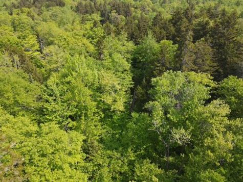 Lot 1 Scammon Road Greenville ME 04441