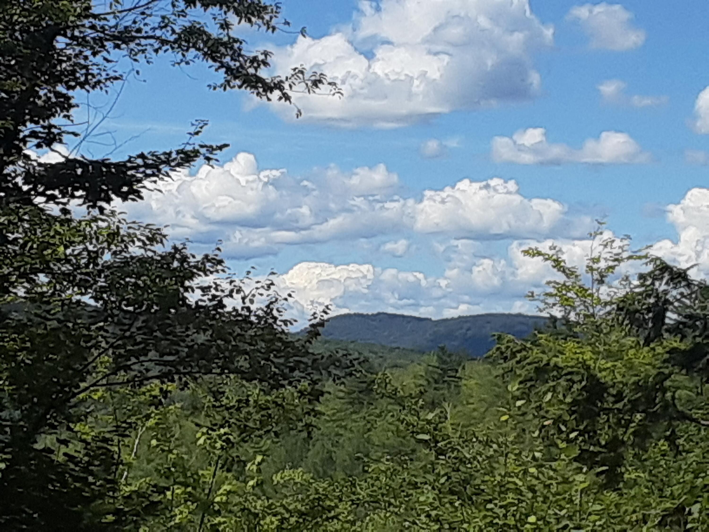 0 Bear Lane Rumford ME 04276