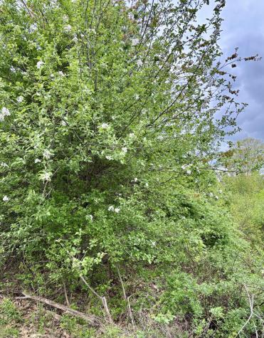 8 Digital Drive Biddeford ME 04005