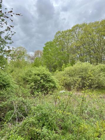 8 Digital Drive Biddeford ME 04005