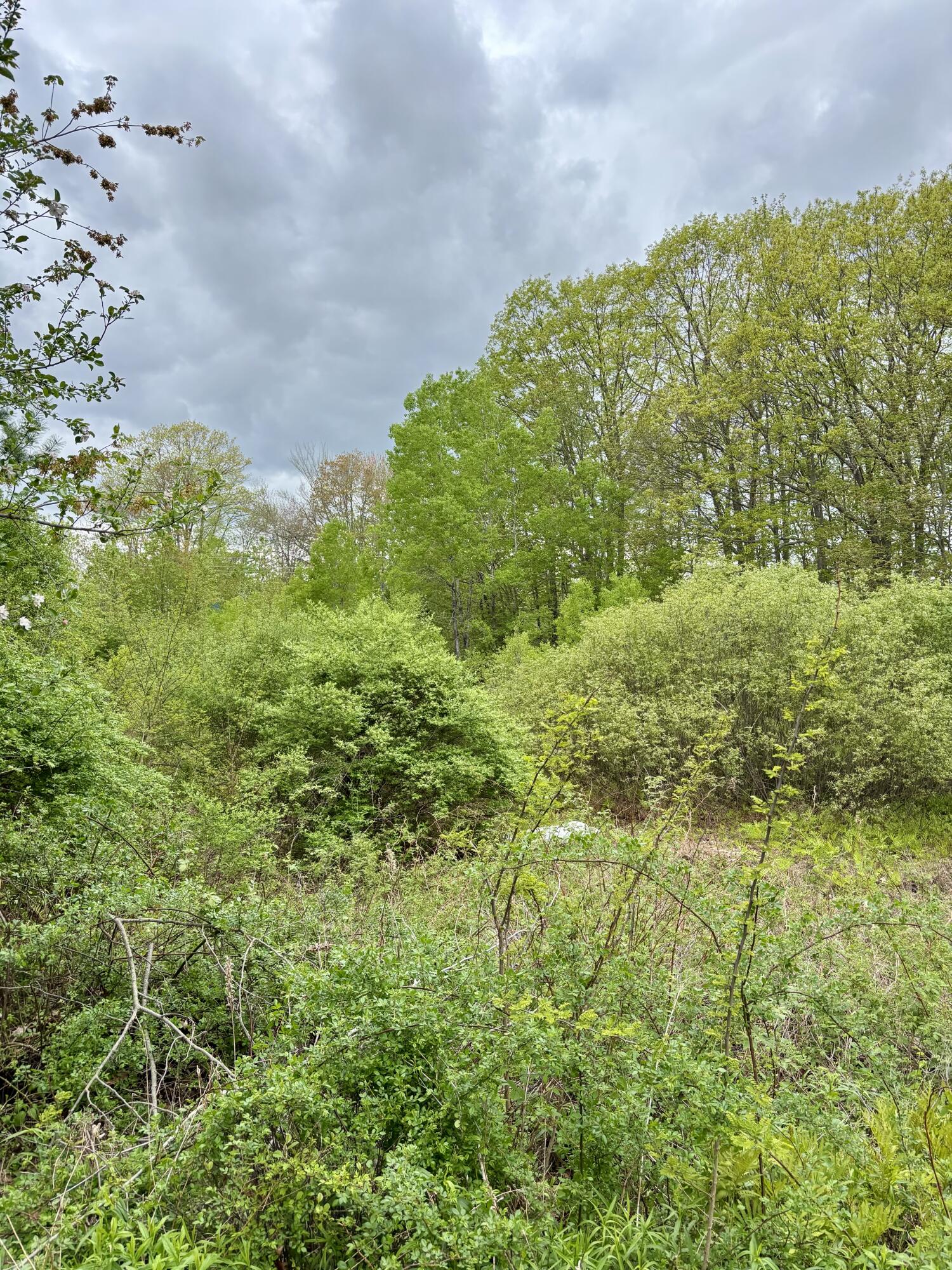 8 Digital Drive Biddeford ME 04005