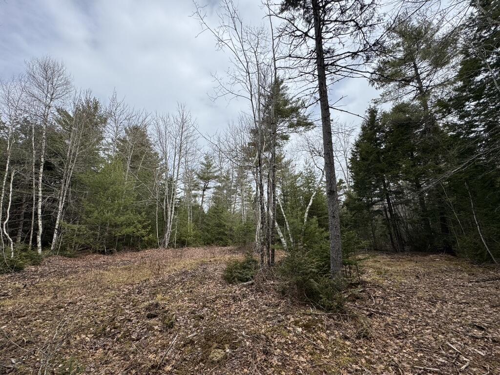 15 Bufford Drive Waltham ME 04605