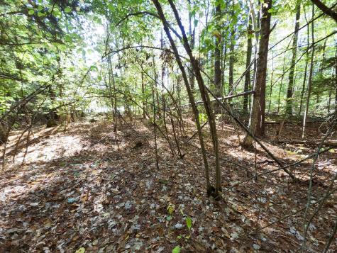 61 Meade Lane Bridgton ME 04009