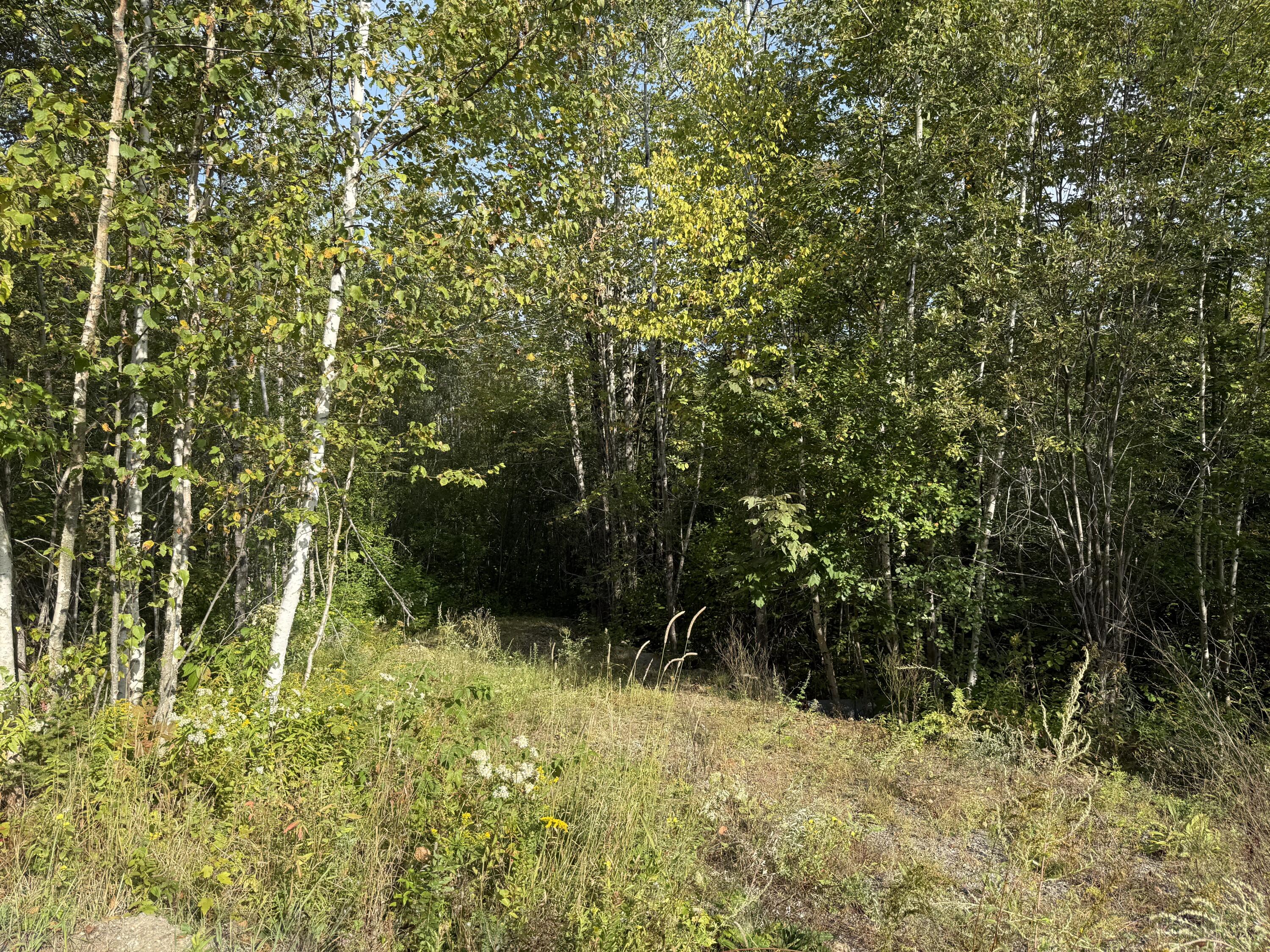 1 And 11 Bowling Green Lane Belfast ME 04915