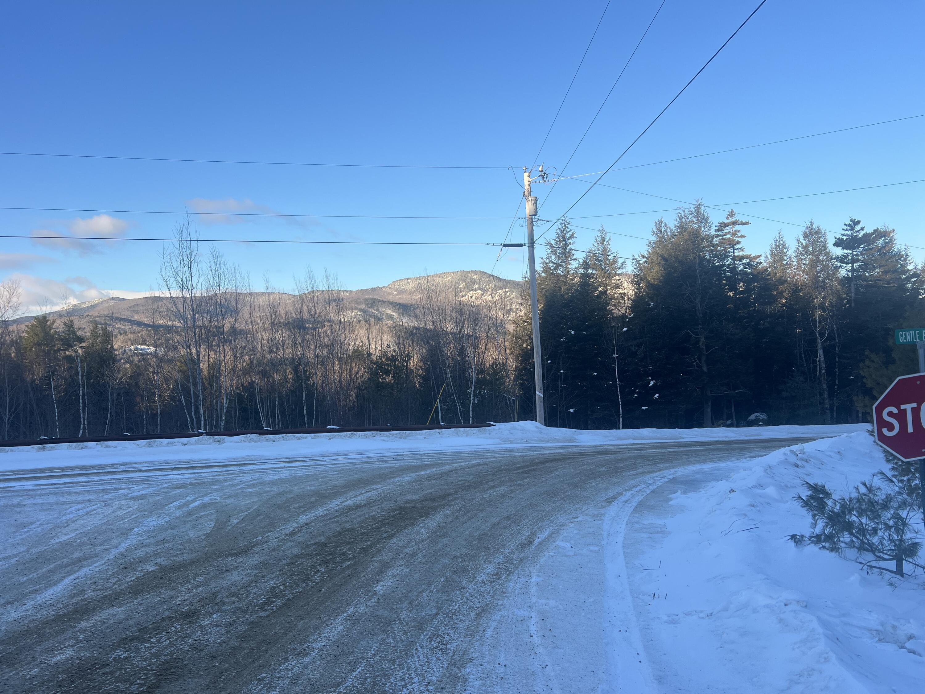 Lot 5 Gentle Ben Road Bethel ME 04217