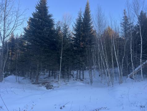 Lot 5 Gentle Ben Road Bethel ME 04217