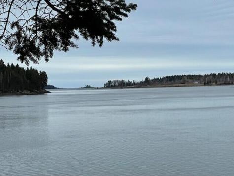 Lot #83 Crowley Island Addison ME 04606