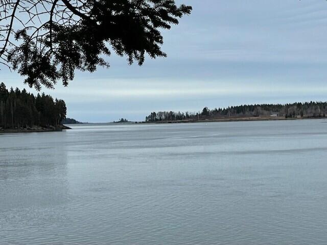 Lot #83 Crowley Island Addison ME 04606