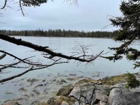 Lot #83 Crowley Island Addison ME 04606