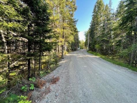 Lot #139 Duck Cove Road Roque Bluffs ME 04654