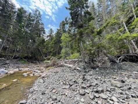 Lot #139 Duck Cove Road Roque Bluffs ME 04654