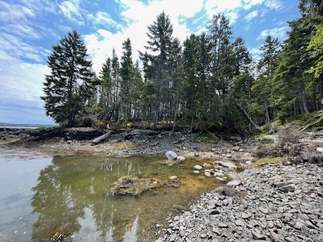 Lot #139 Duck Cove Road Roque Bluffs ME 04654