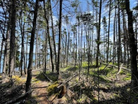 Lot #139 Duck Cove Road Roque Bluffs ME 04654