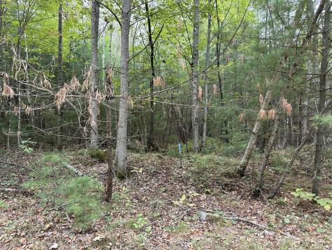 M40 L13-7 Mallard Road Madison ME 04950